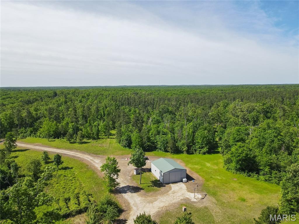 1743 Ripley Route North Doniphan, MO 63935 - Photo 54 of 97