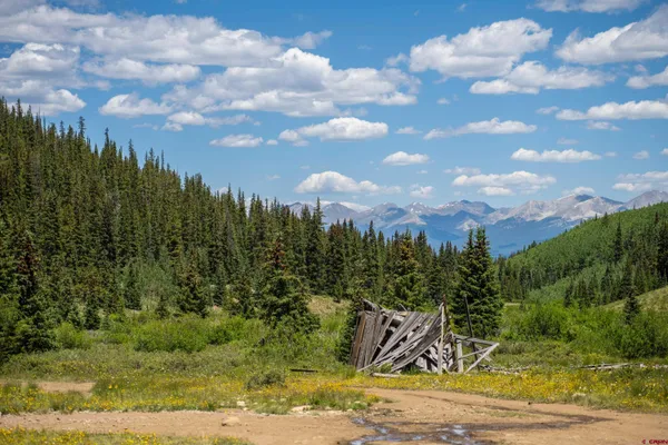a view of a city with lush green space
