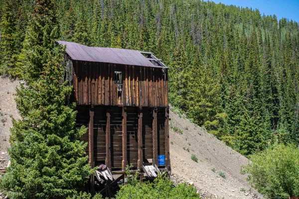 a view of a small house with a small yard plants and large trees