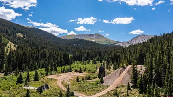 a view of a backyard with plants and lake