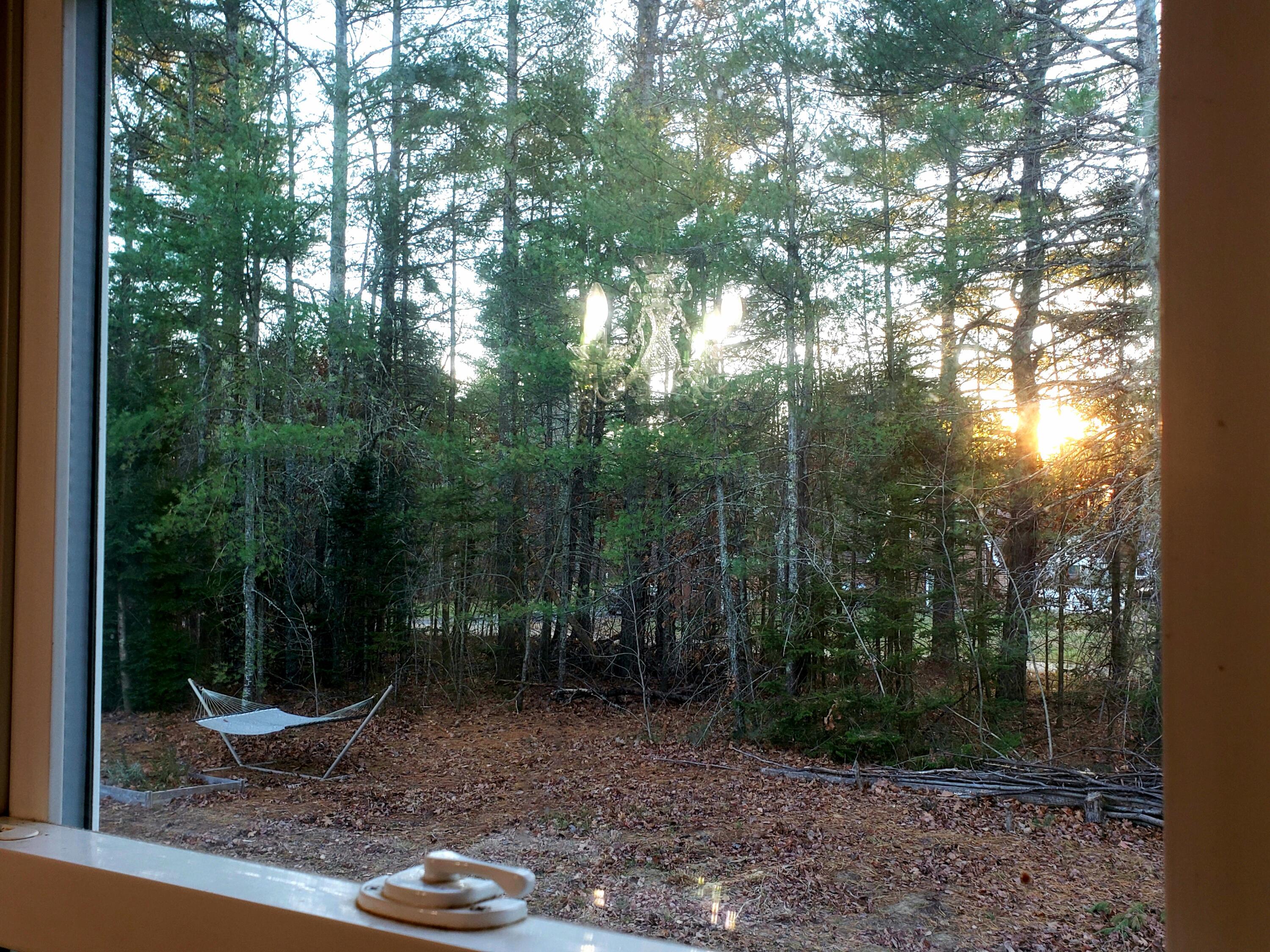 599 Plains Road Hollis Center, ME 04042 - Photo 34 of 69 20241118_184853