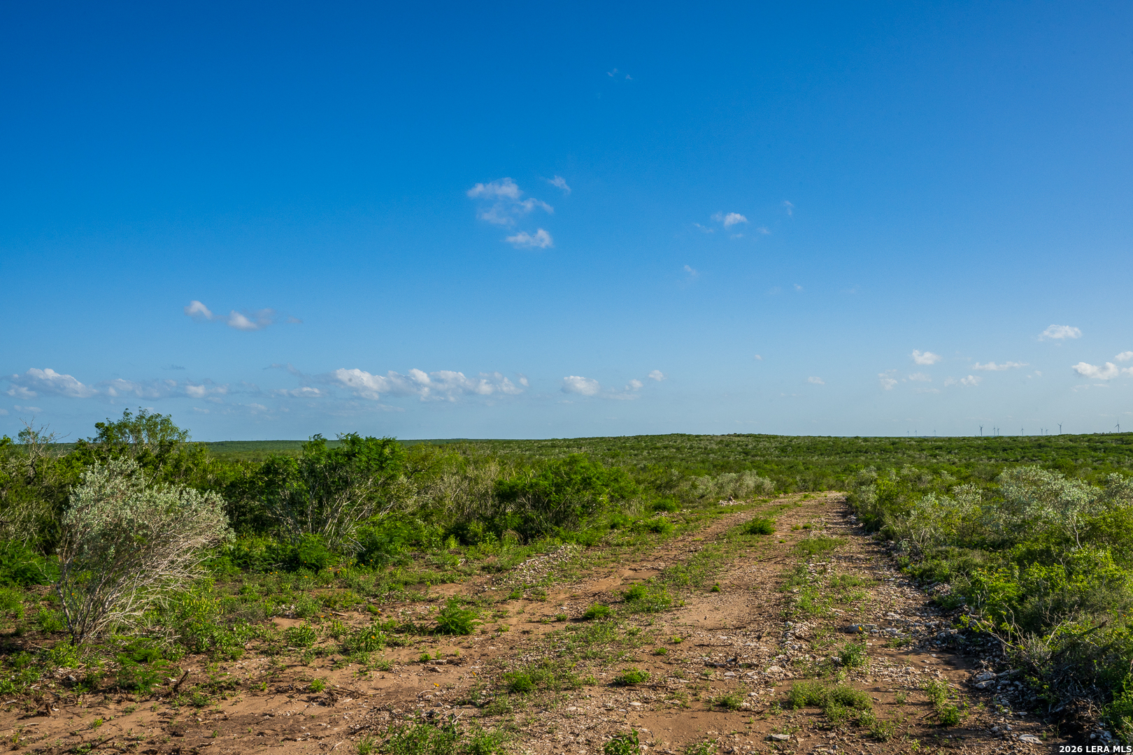 111 Los Lomas Ranch Road Freer, TX 78357 - Photo 30 of 31