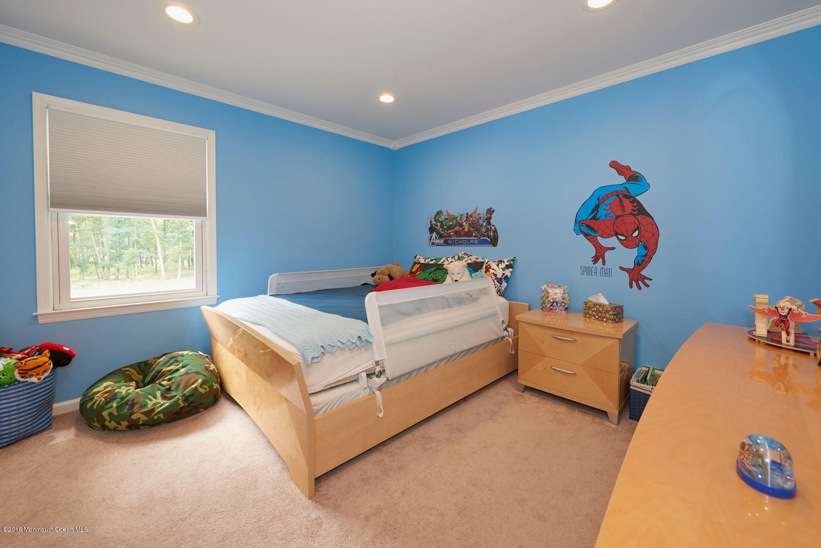 50 Chelsea Road Jackson, NJ 08527 - Photo 26 of 43 BAP_1462-X3