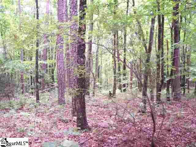 Curts Way, Unit TRACT 37 Cleveland, SC 29635 - Photo 4 of 11