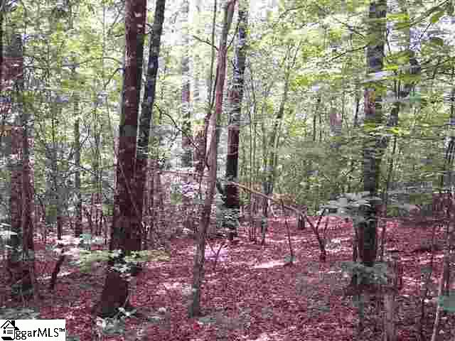Curts Way, Unit TRACT 37 Cleveland, SC 29635 - Photo 6 of 11