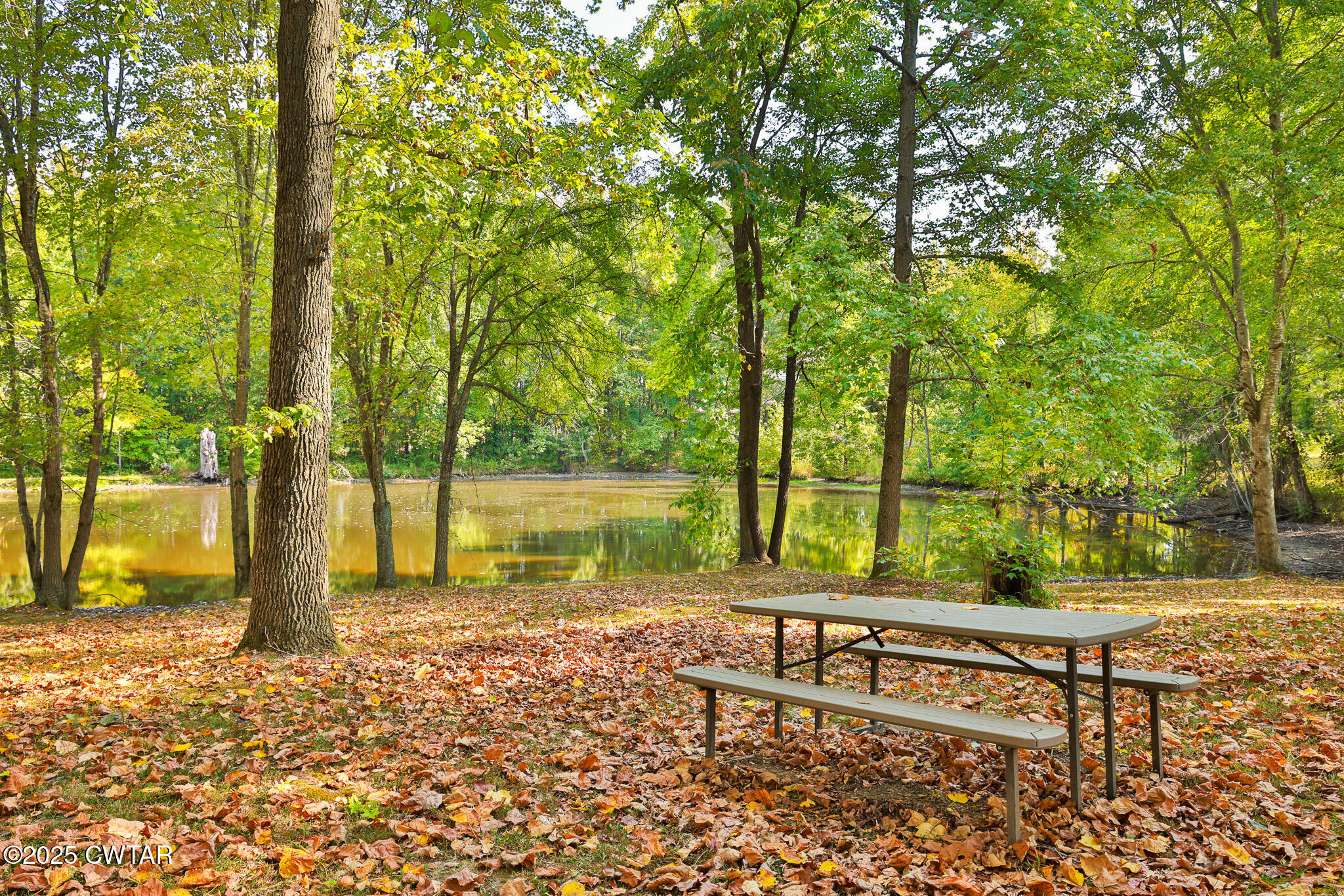 662 Woodlawn Road Sharon, TN 38255 - Photo 34 of 43 FT8A0658