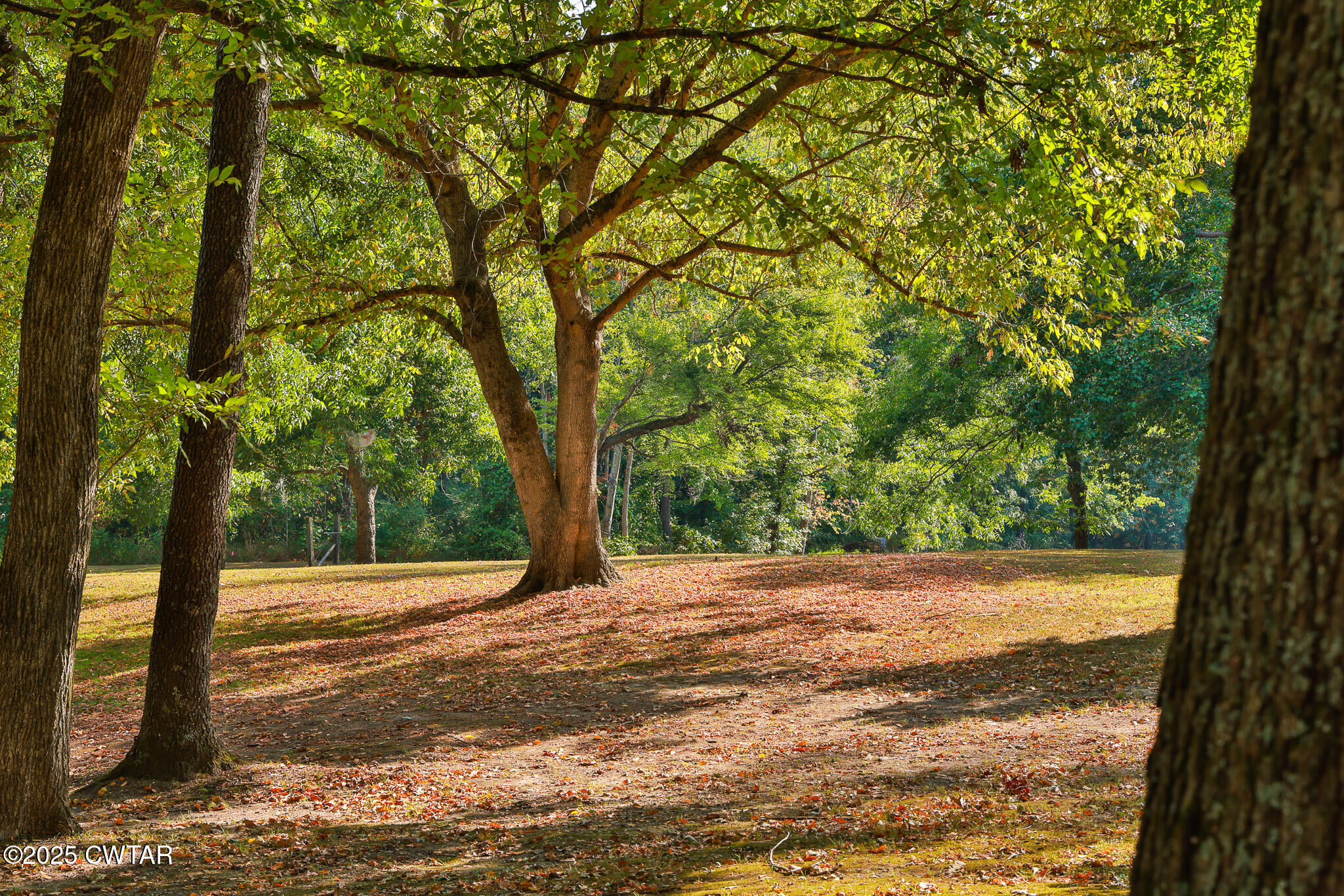 662 Woodlawn Road Sharon, TN 38255 - Photo 35 of 43 FT8A0646