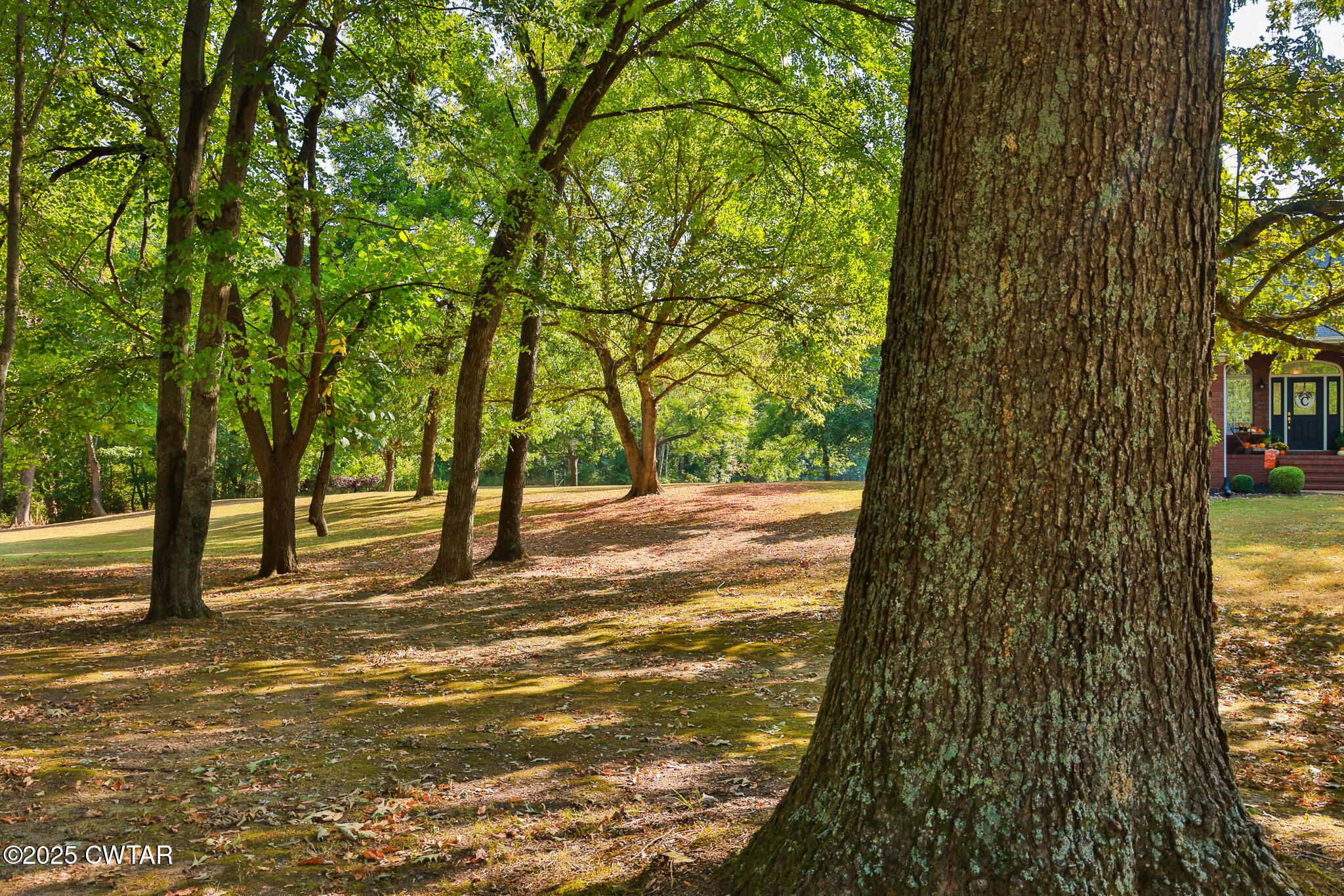 662 Woodlawn Road Sharon, TN 38255 - Photo 36 of 43 FT8A0648