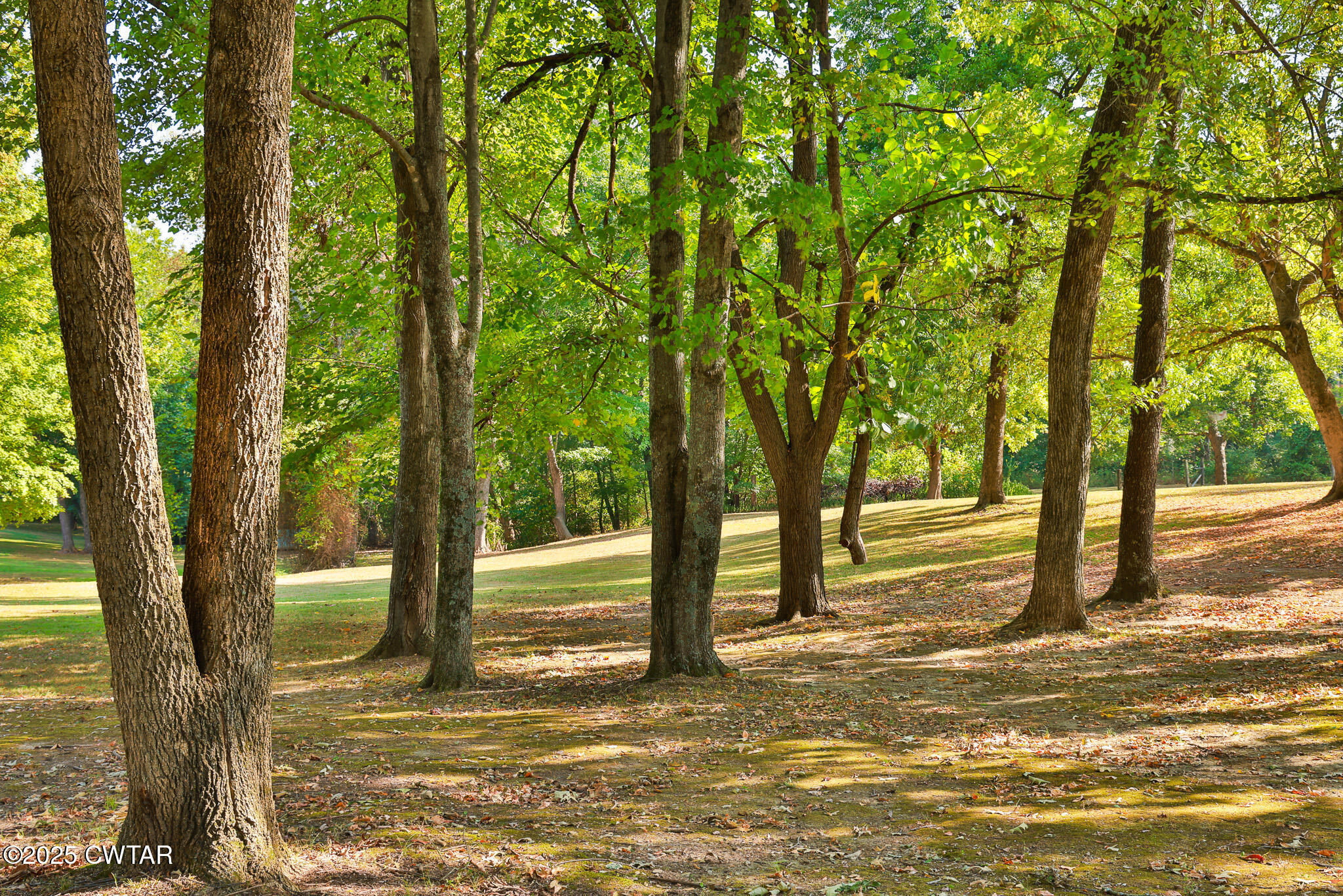 662 Woodlawn Road Sharon, TN 38255 - Photo 37 of 43 FT8A0645