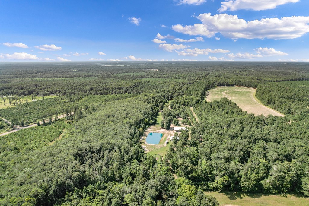 2480 South Springhill Road Gordon, AL 36343 - Photo 101 of 114