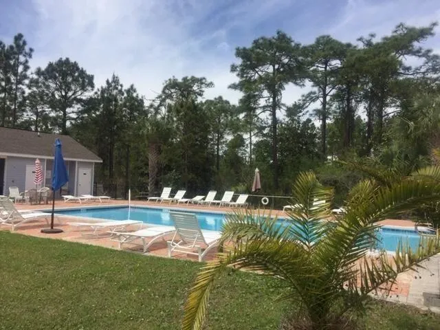 a view of a swimming pool with a bench and trees around