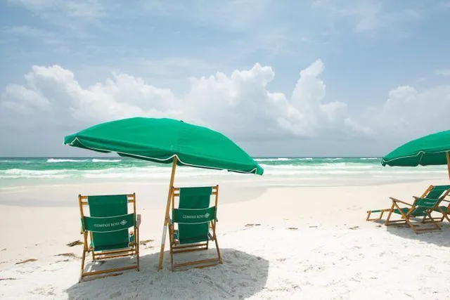 a view of a lake with a large trees