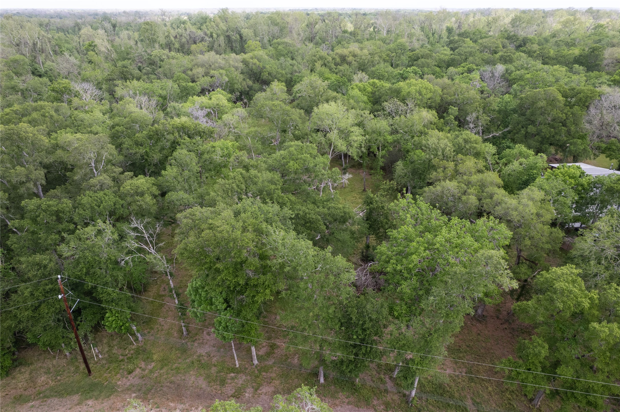 0 King's Oak Drive Damon, TX 77430 - Photo 28 of 29