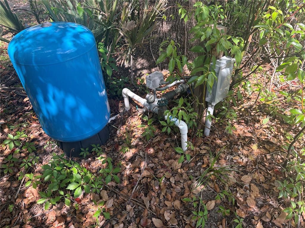 95th Street Anthony, FL 32617 - Photo 3 of 5 a view of a plant with a plant