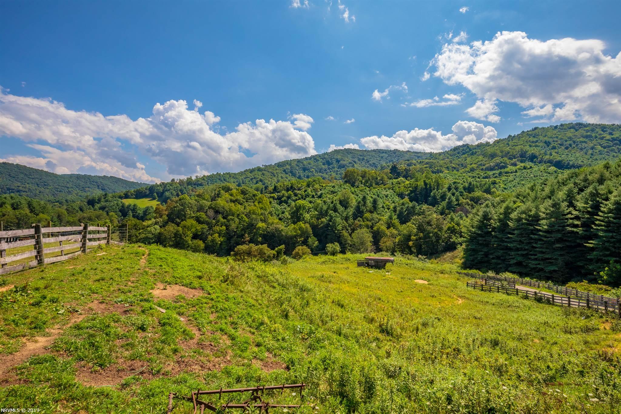 5305 Spring Valley Road, Unit 1 Elk Creek, VA 24326 - Photo 58 of 68 Gallery Image 58