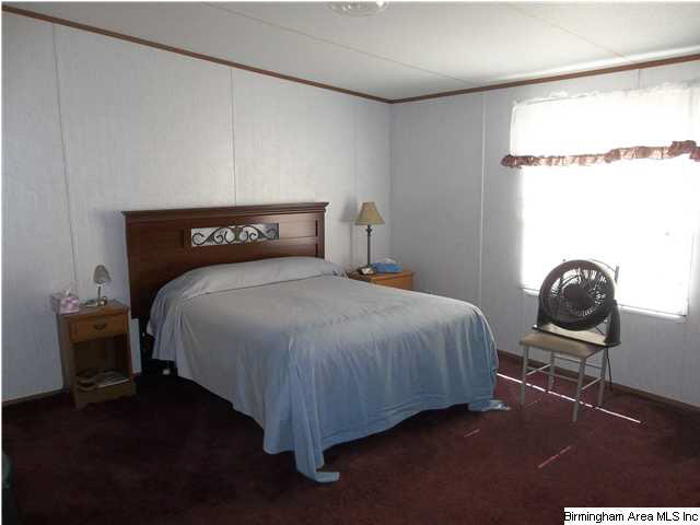 384 Union Camp Road Dora, AL 35062 - Photo 9 of 14