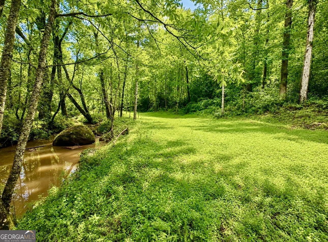 0 Rocky Creek Road Thomaston, GA 30286 - Photo 5 of 30
