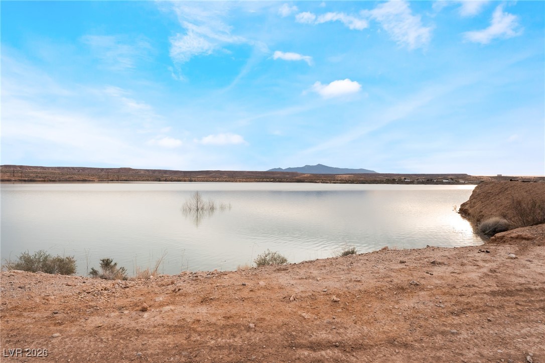 1920 Bowman Road Logandale, NV 89021 - Photo 43 of 61