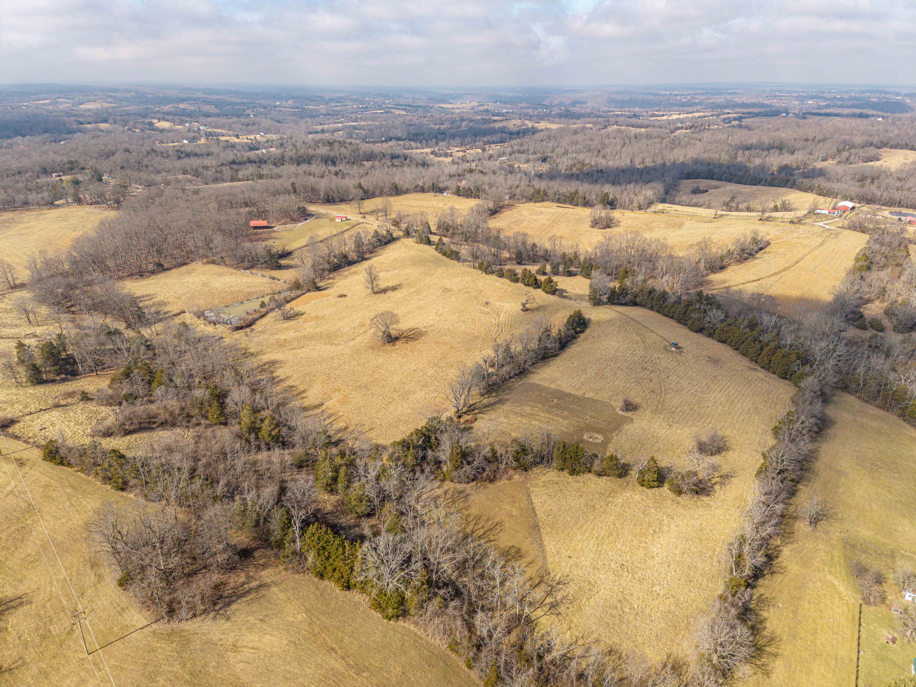 Lot 4 Delaney Road Lawrenceburg, KY 40342 - Photo 12 of 21 DJI_20260216140541_0331_D