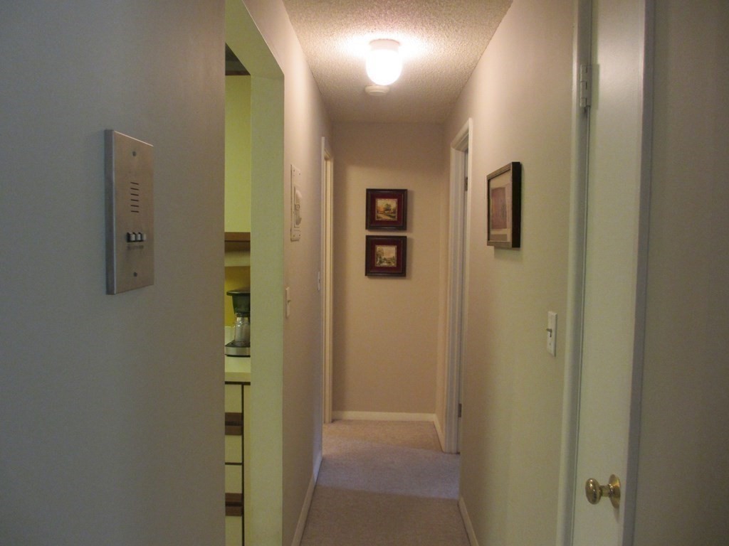 26 Waverly Street, Unit 202 Boston, MA 02135 - Photo 6 of 19