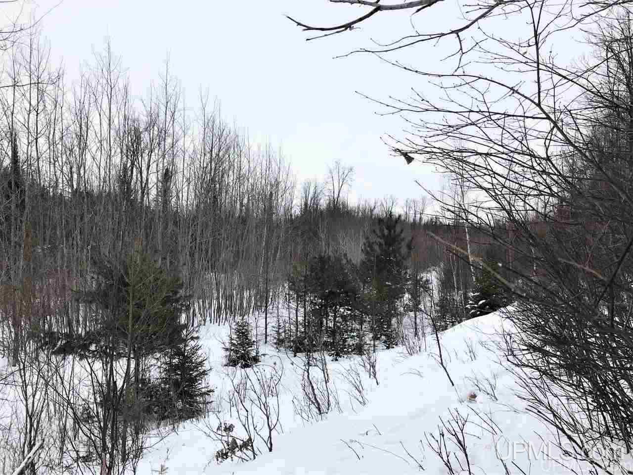 Tbd Ridgeview Road, Unit LOTS 34 & 35 Iron River, MI 49935 - Photo 14 of 45 Gallery Image 14