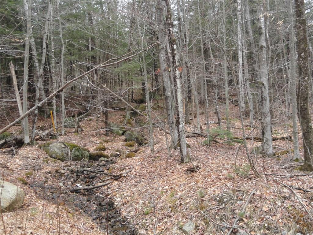 0 Redding-saunders Road Bryant Pond, ME 04219 - Photo 13 of 29 Photo