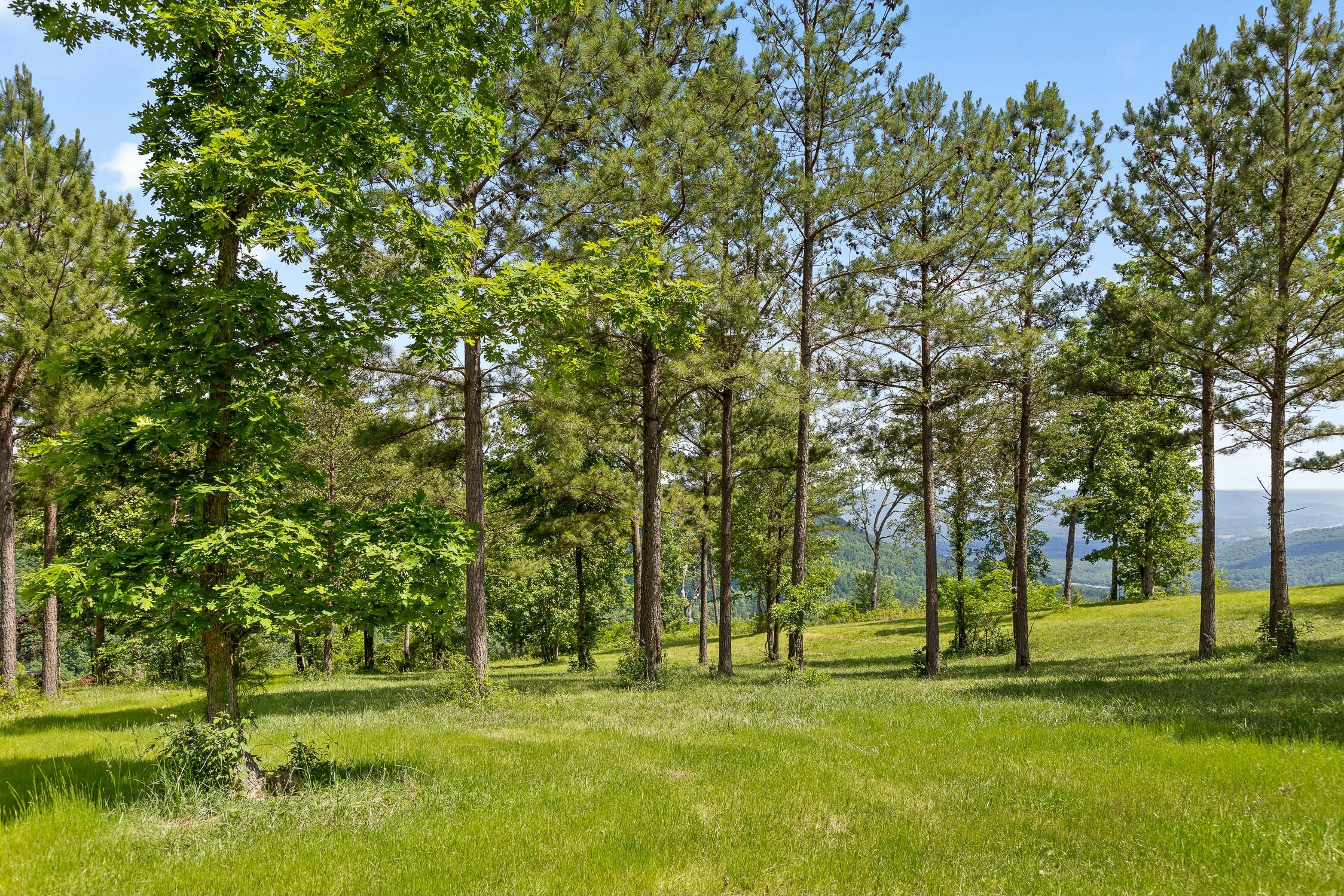 0 Sunset Circle, Unit LOT 56 Jasper, TN 37347 - Photo 1 of 33 0 Sunset Cir.