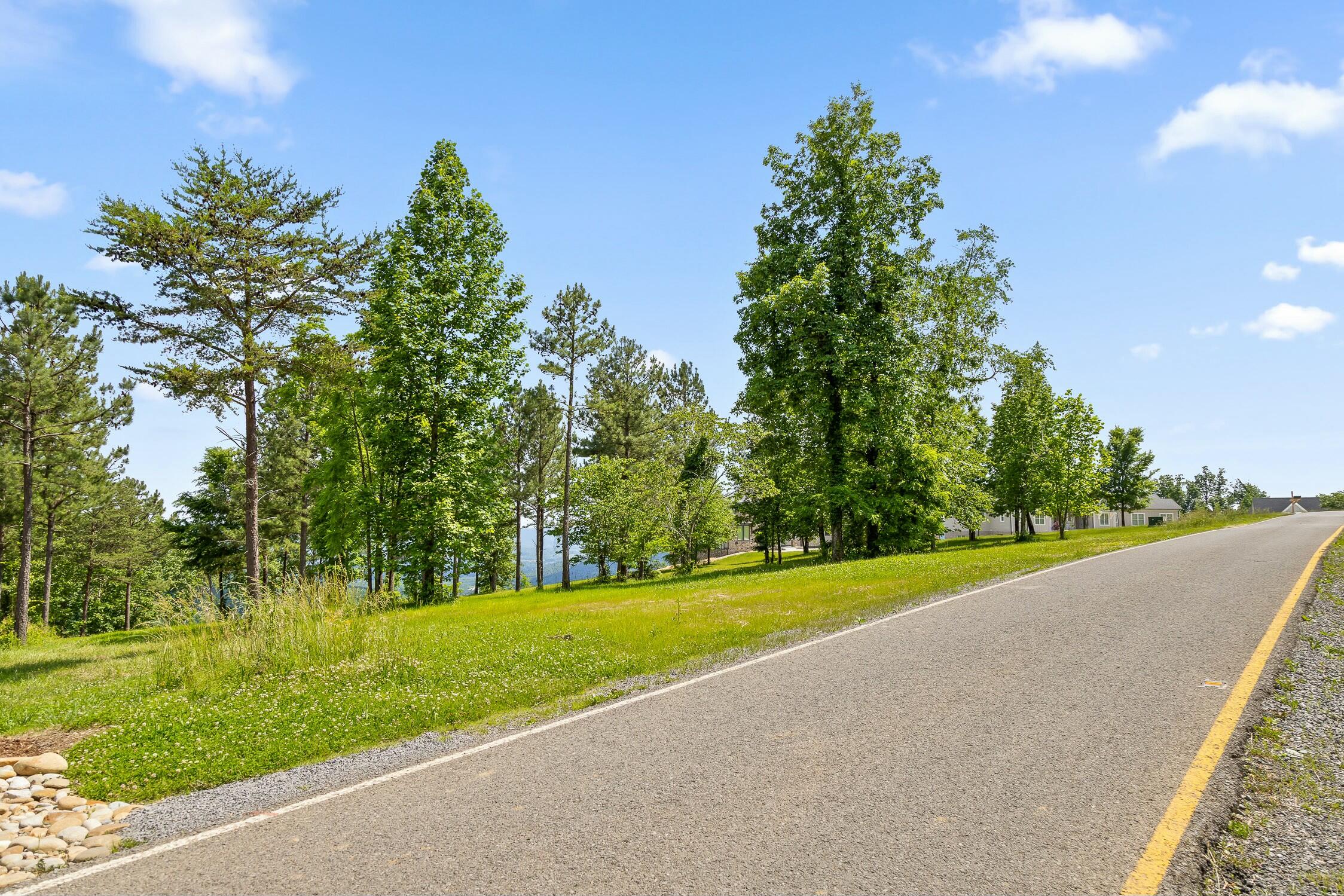 0 Sunset Circle, Unit LOT 56 Jasper, TN 37347 - Photo 4 of 33 0 Sunset Cir.