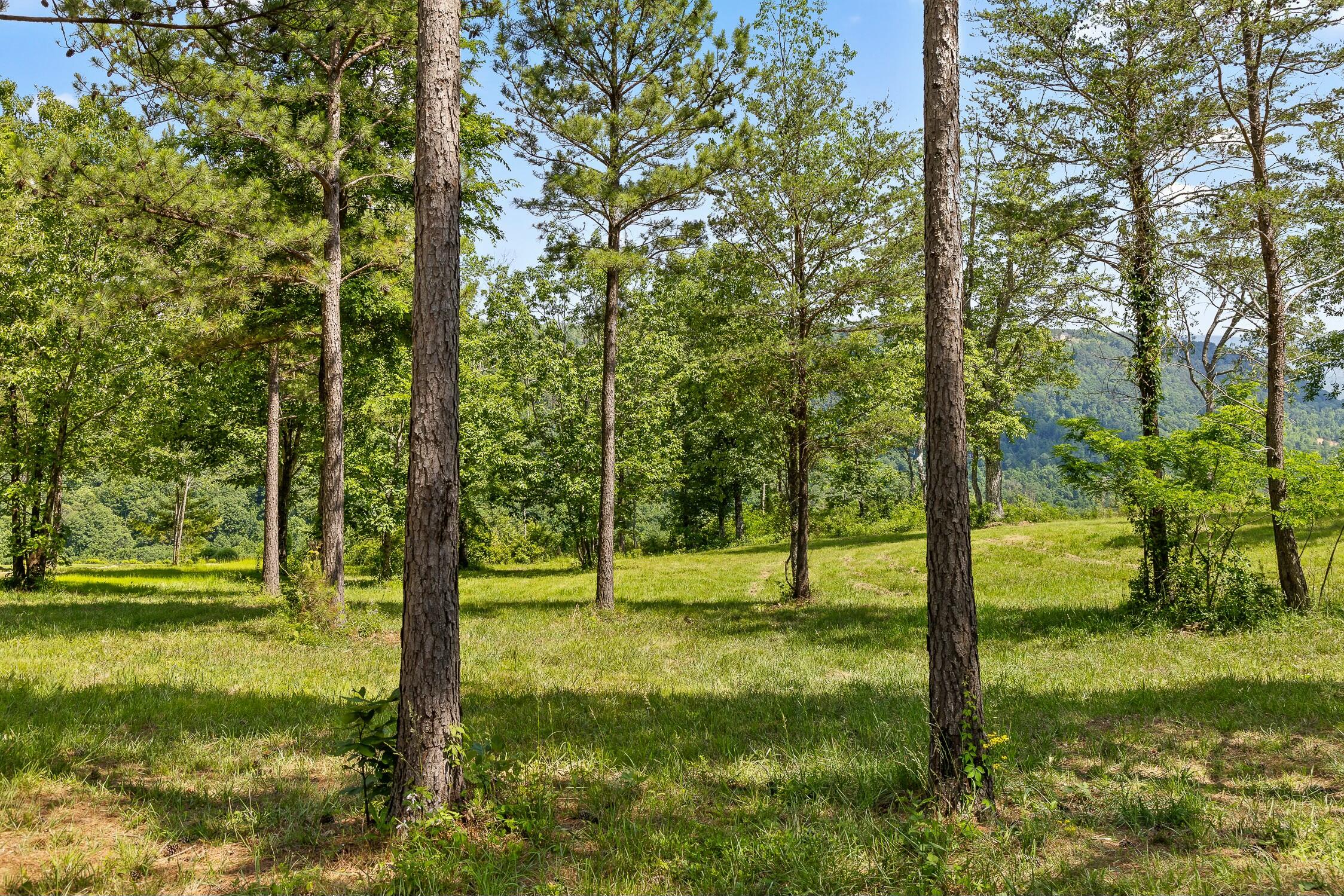 0 Sunset Circle, Unit LOT 56 Jasper, TN 37347 - Photo 5 of 33 0 Sunset Cir.
