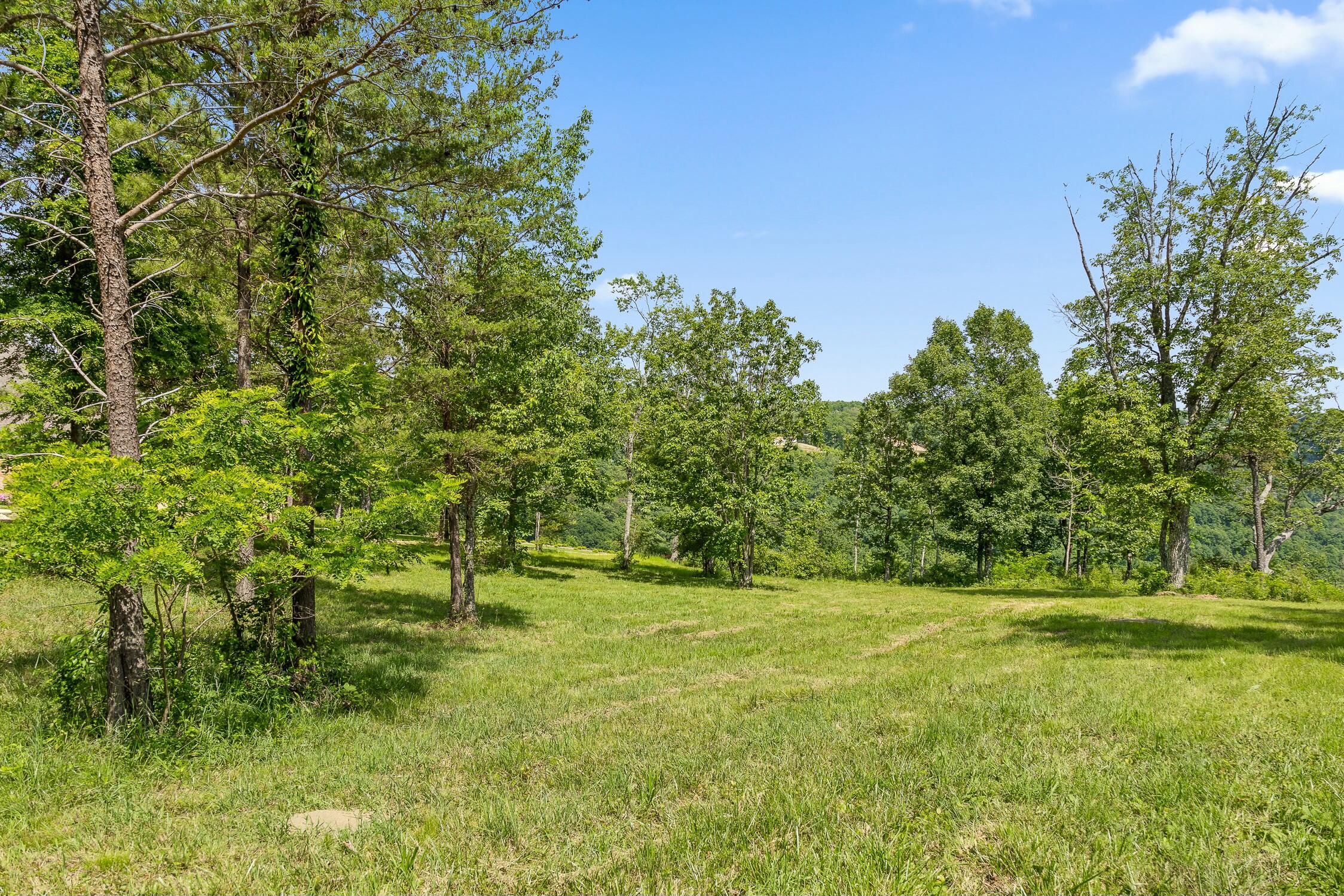 0 Sunset Circle, Unit LOT 56 Jasper, TN 37347 - Photo 6 of 33 0 Sunset Cir.