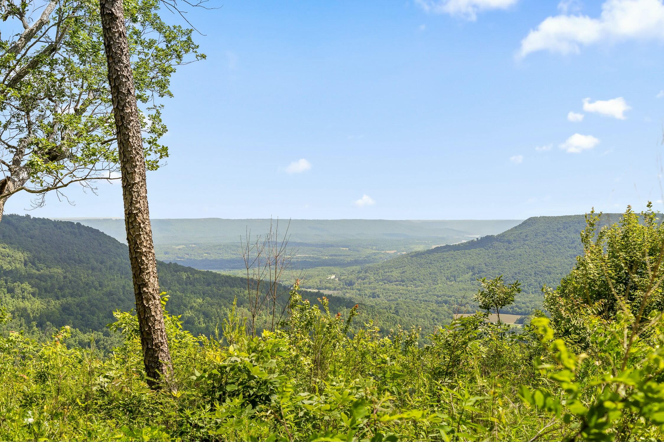 0 Sunset Circle, Unit LOT 56 Jasper, TN 37347 - Photo 8 of 33 0 Sunset Cir.