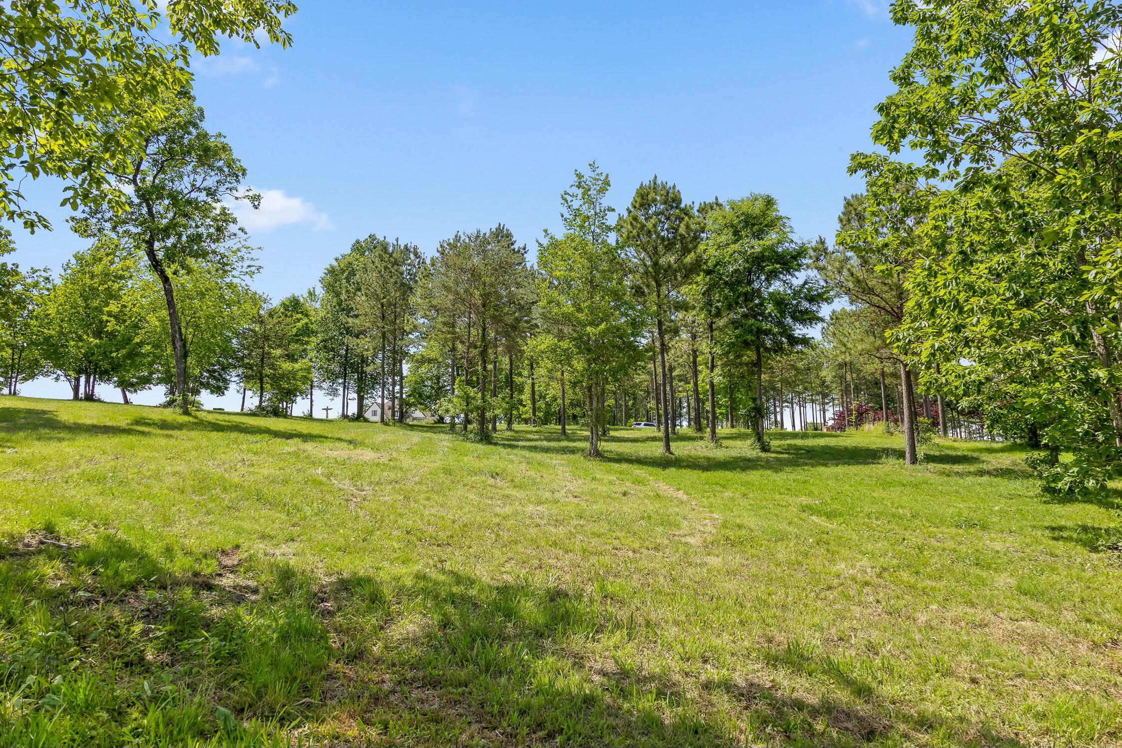 0 Sunset Circle, Unit LOT 56 Jasper, TN 37347 - Photo 9 of 33 0 Sunset Cir.