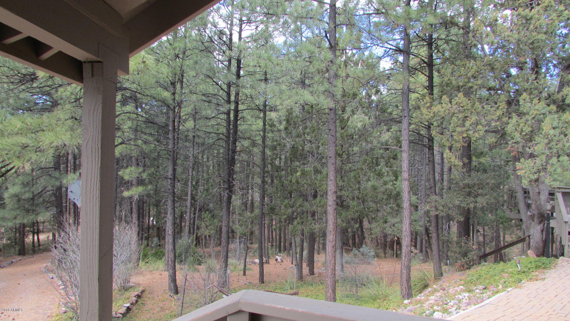 355 North Rim Trail Road Payson, AZ 85541 - Photo 21 of 121 TONS OF TREES