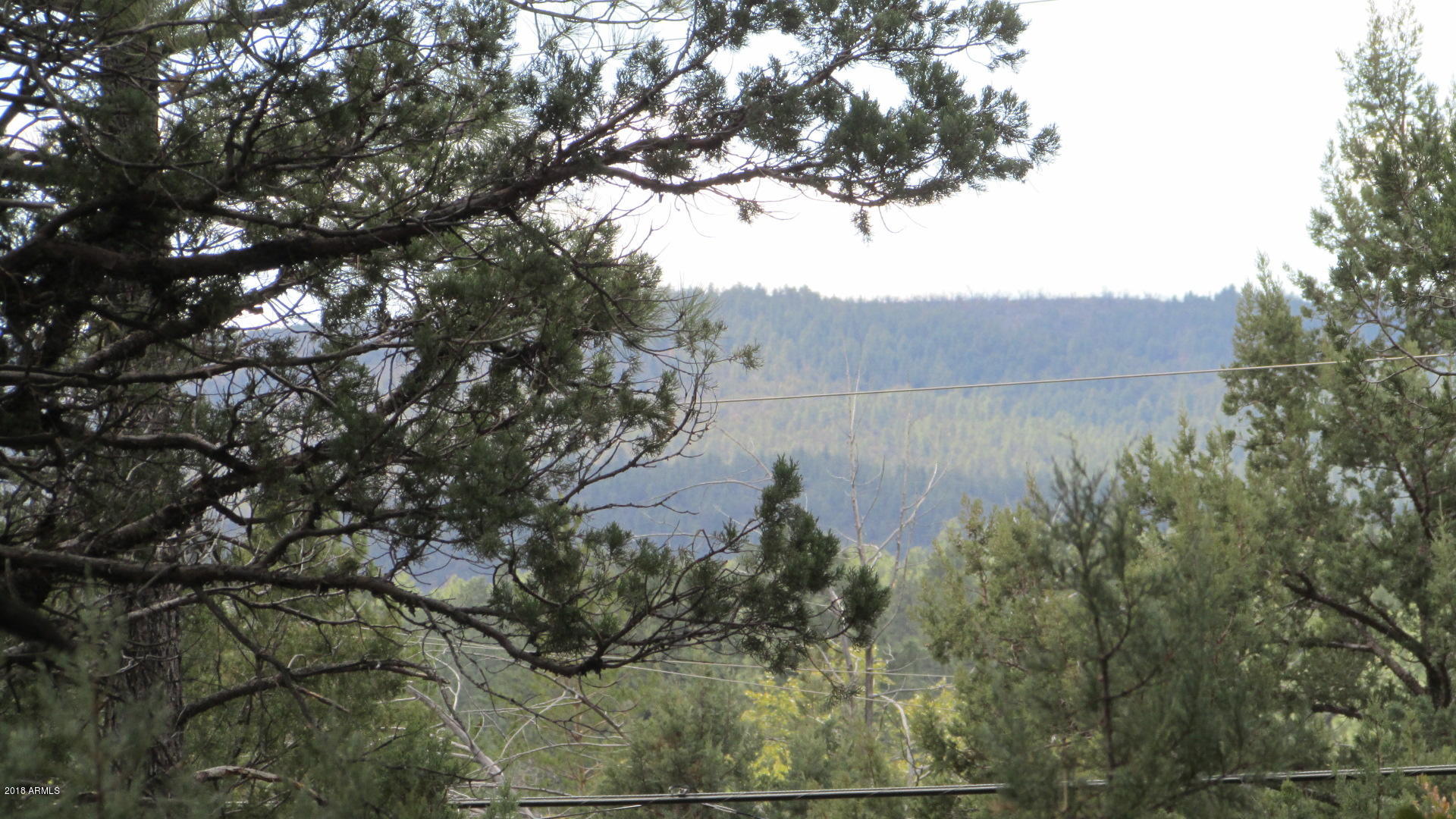 355 North Rim Trail Road Payson, AZ 85541 - Photo 24 of 121 VIEWS OF RIM