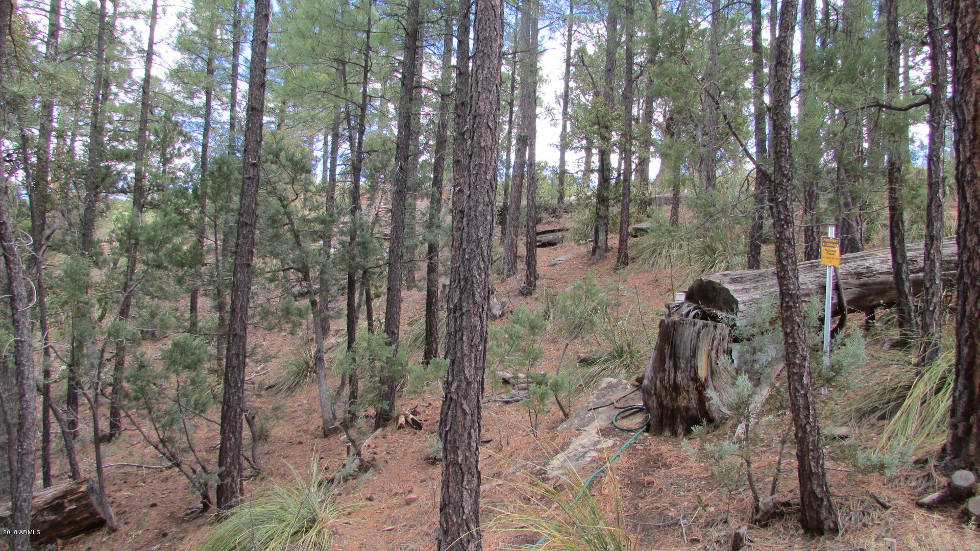 355 North Rim Trail Road Payson, AZ 85541 - Photo 33 of 121 PLENTY OF ROOM TO ROAM