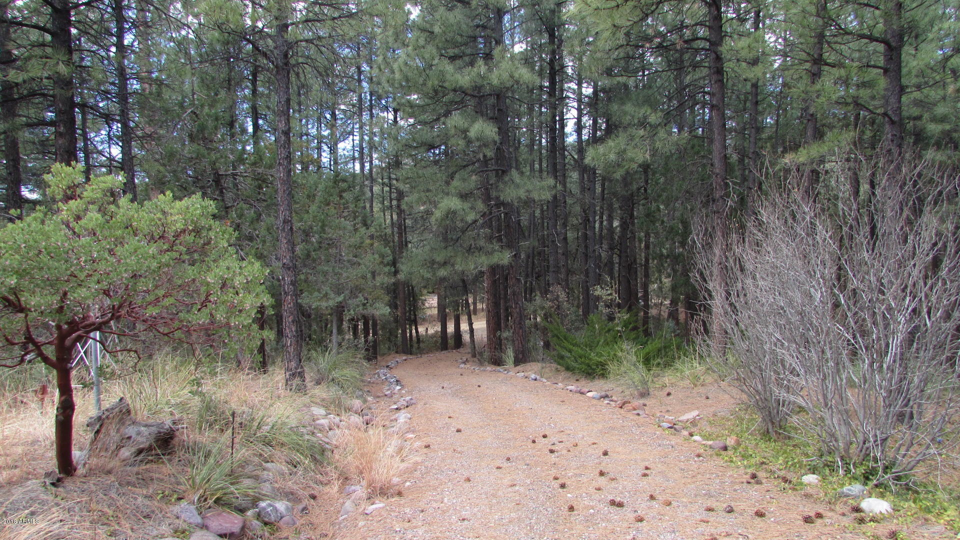 355 North Rim Trail Road Payson, AZ 85541 - Photo 42 of 121 PRIVATE DRIVEWAY