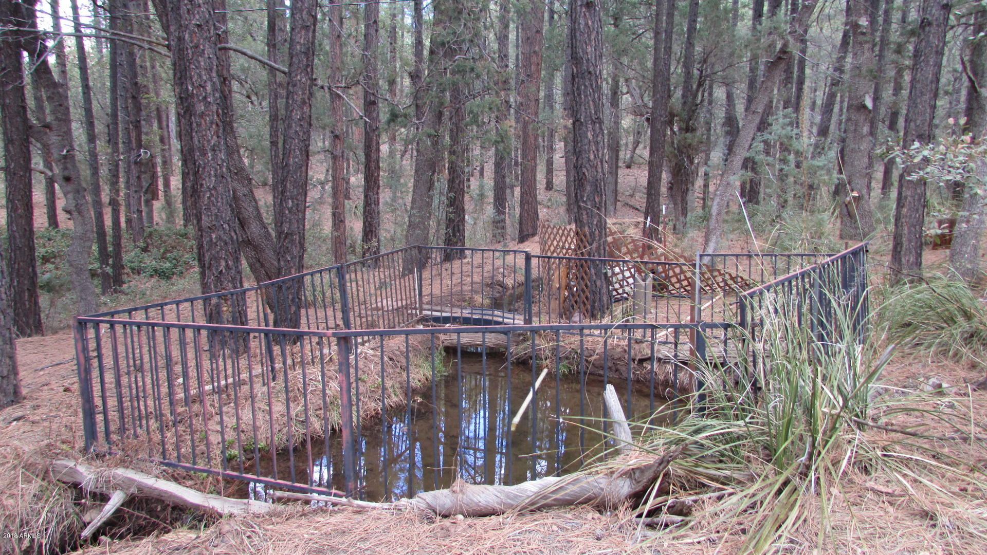 355 North Rim Trail Road Payson, AZ 85541 - Photo 43 of 121 ON PROPERTY