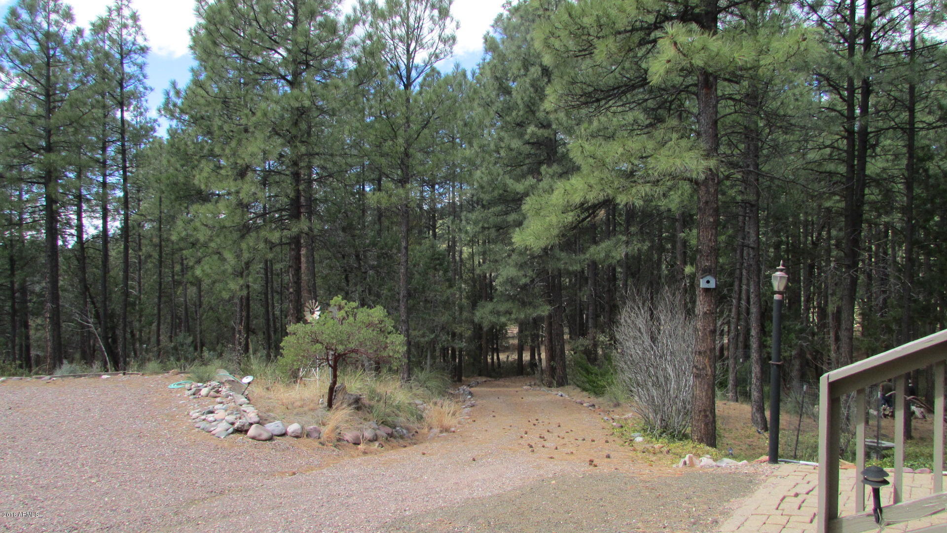355 North Rim Trail Road Payson, AZ 85541 - Photo 75 of 121 PONDEROSA PINES ABOUND