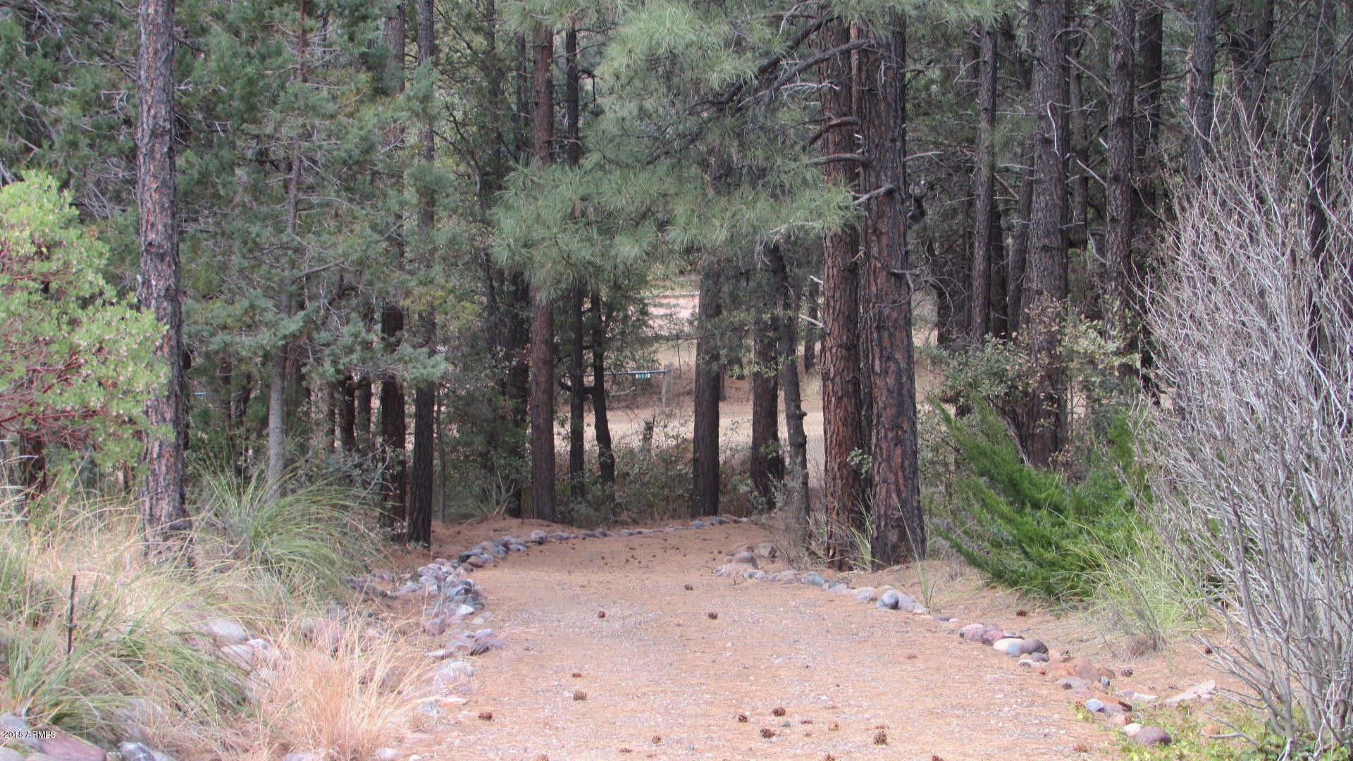 355 North Rim Trail Road Payson, AZ 85541 - Photo 76 of 121 HIKING