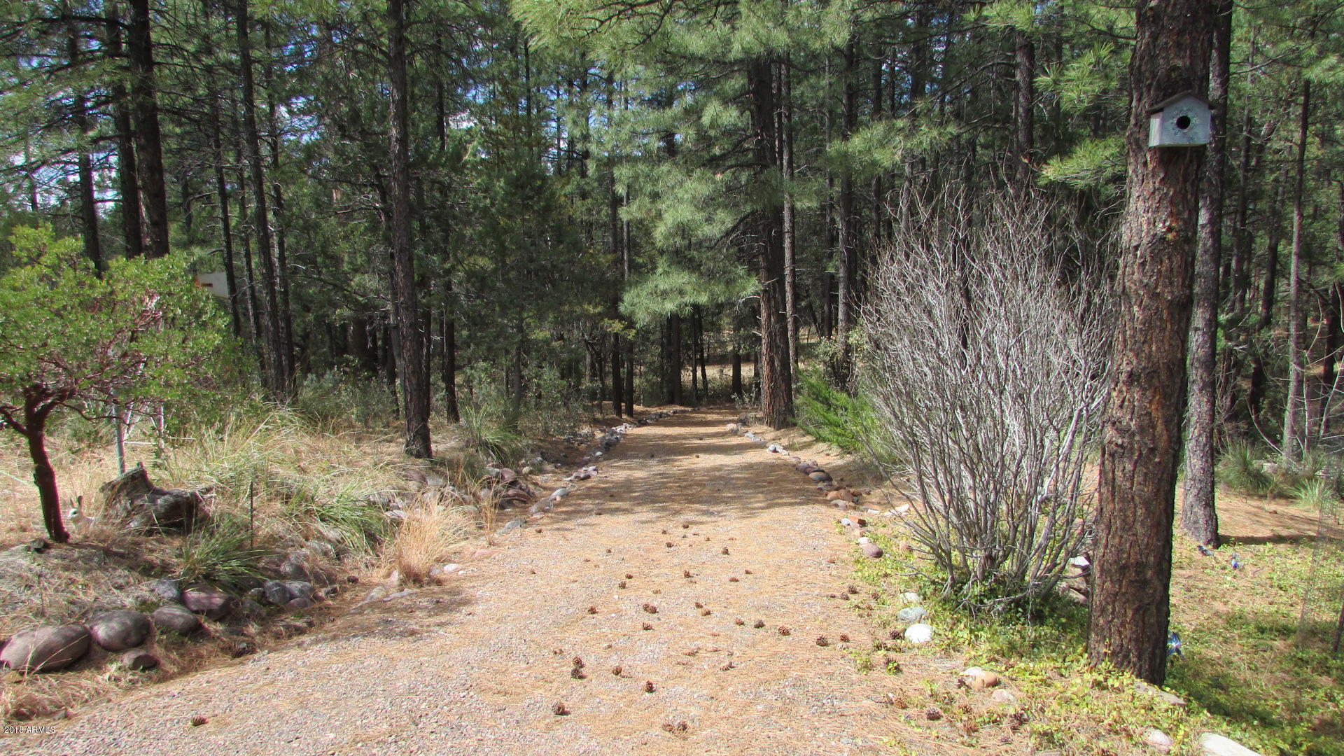 355 North Rim Trail Road Payson, AZ 85541 - Photo 77 of 121 BIKING