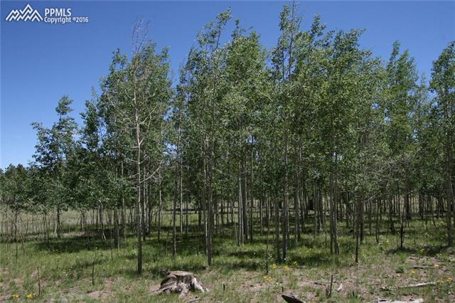 143 Ranger Station Road Florissant, CO 80816 - Photo 19 of 25