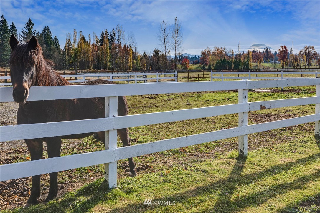 21916 Southeast 392nd Street Enumclaw, WA 98022 - Photo 2 of 2 a view of a swimming pool with a yard and trees