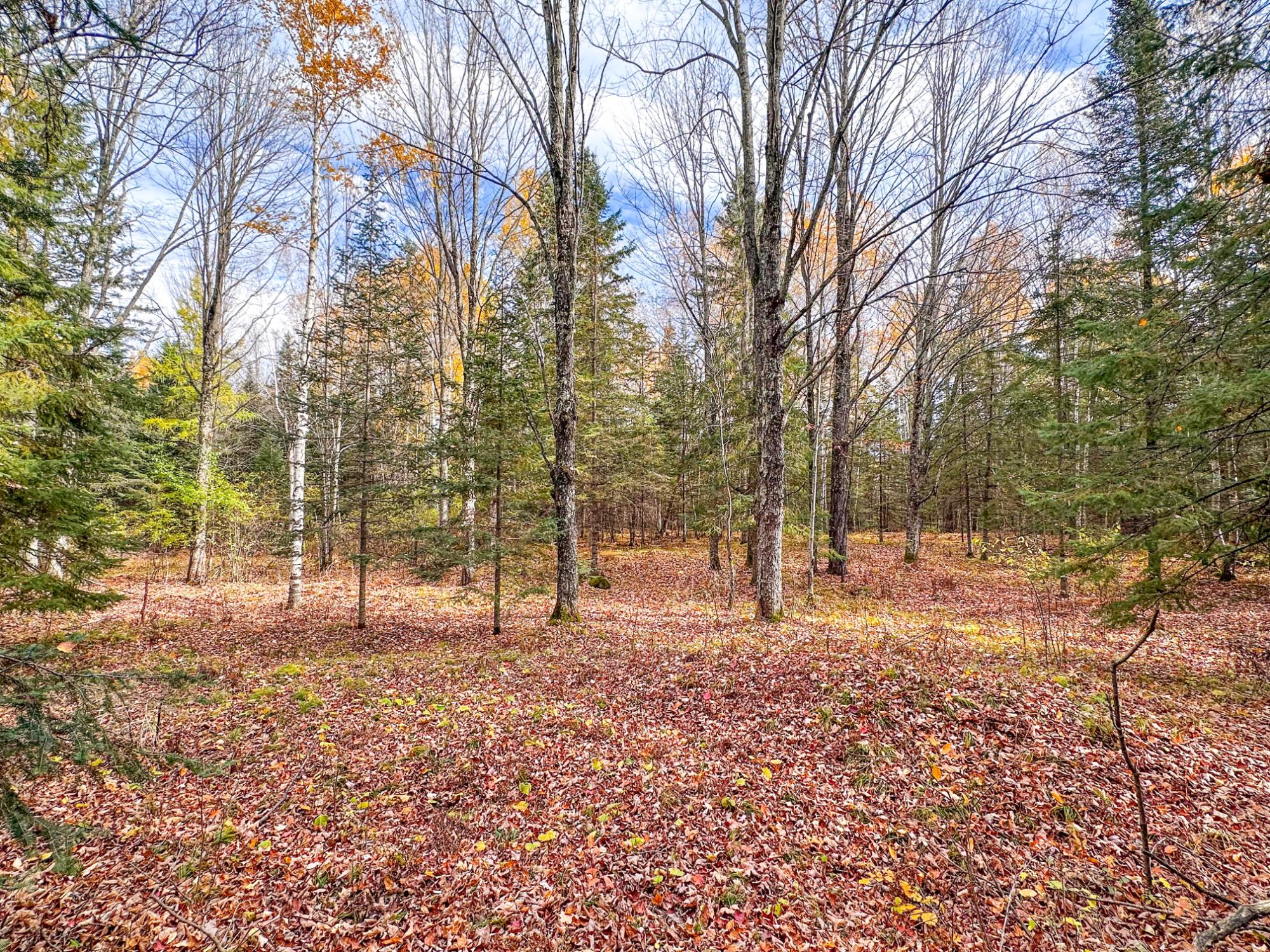 N16344 Kaley Road Park Falls, WI 54552 - Photo 6 of 64 Gallery Image 6
