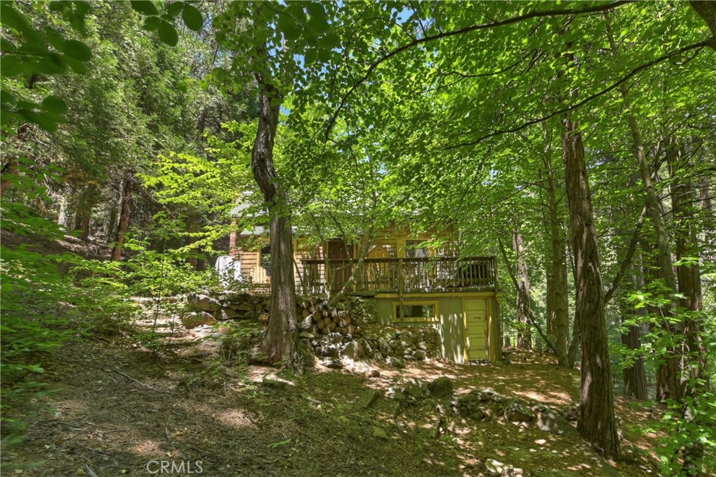714 Blue Jay Canyon Road Lake Arrowhead, CA 92317 - Photo 3 of 15