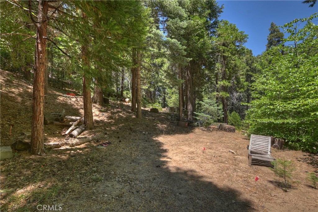 714 Blue Jay Canyon Road Lake Arrowhead, CA 92317 - Photo 5 of 15 Back yard flat area. A deer stood here the other day