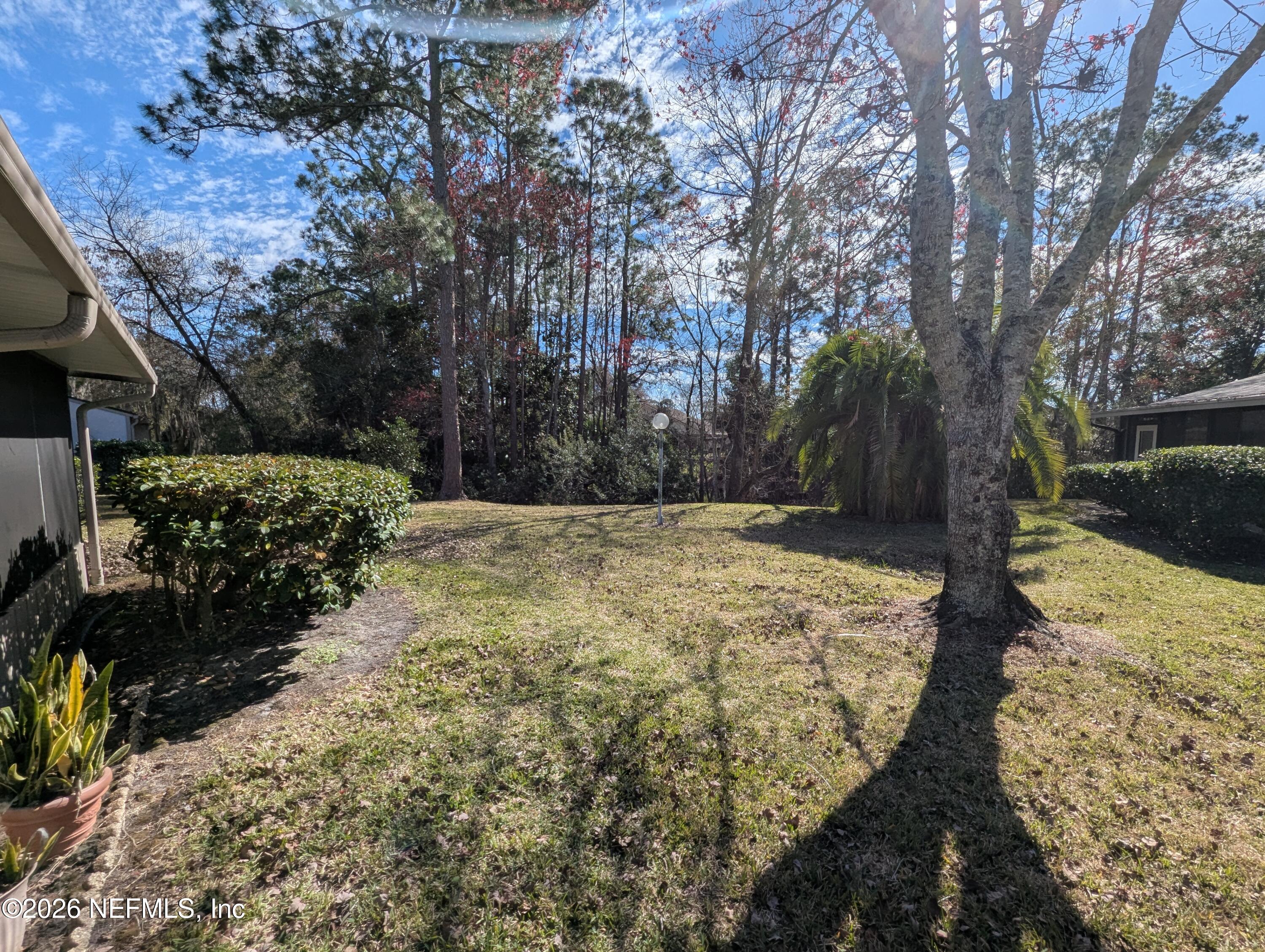 7206 Cypress Cove Road, Unit 14 Jacksonville, FL 32244 - Photo 20 of 23 a view of a yard with trees