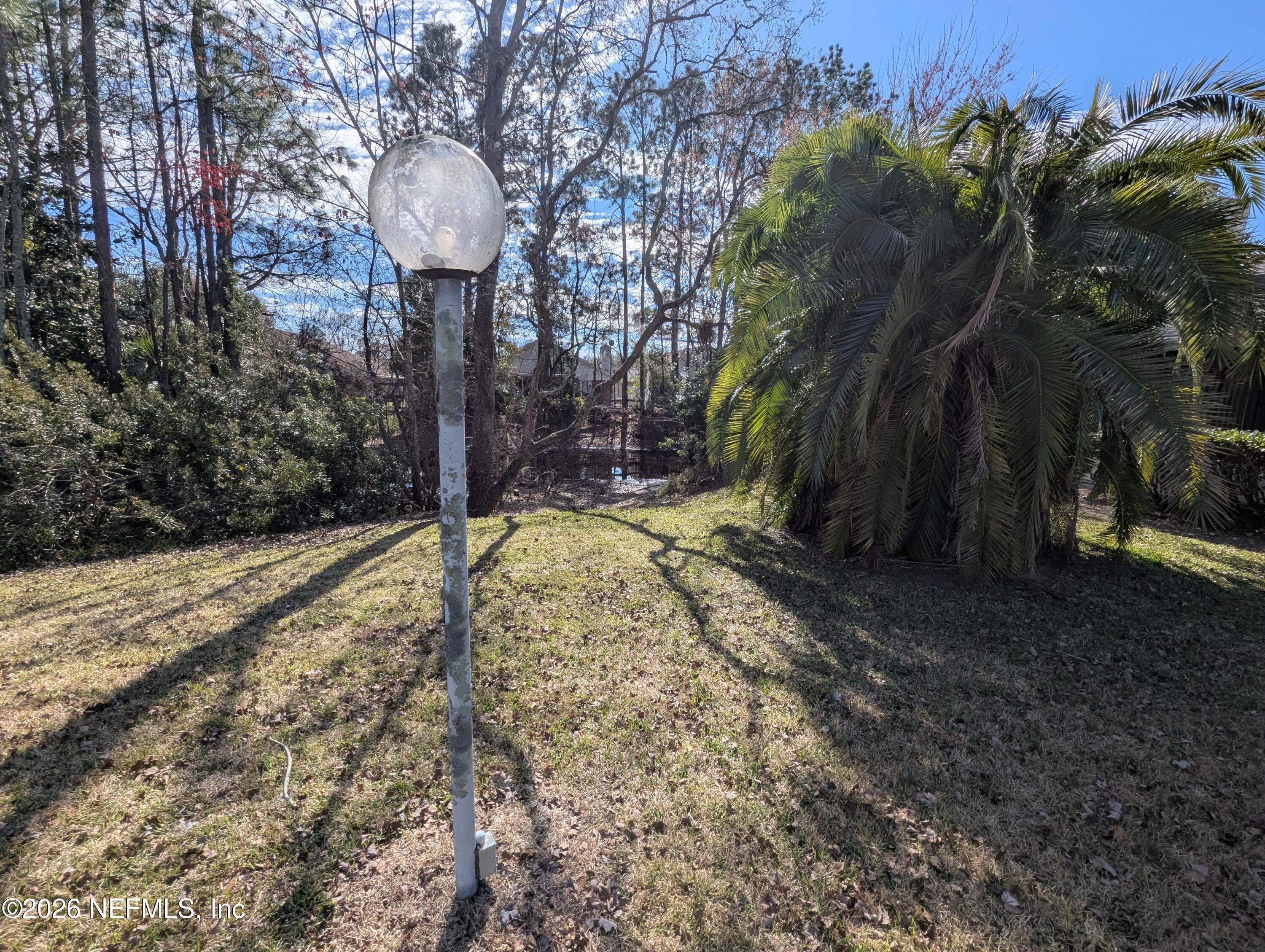 7206 Cypress Cove Road, Unit 14 Jacksonville, FL 32244 - Photo 21 of 23 a view of a yard with plants