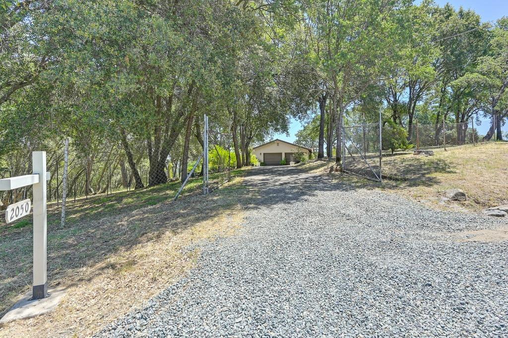 2050 Deer Valley Road Rescue, CA 95672 - Photo 1 of 1 a view of a road with trees