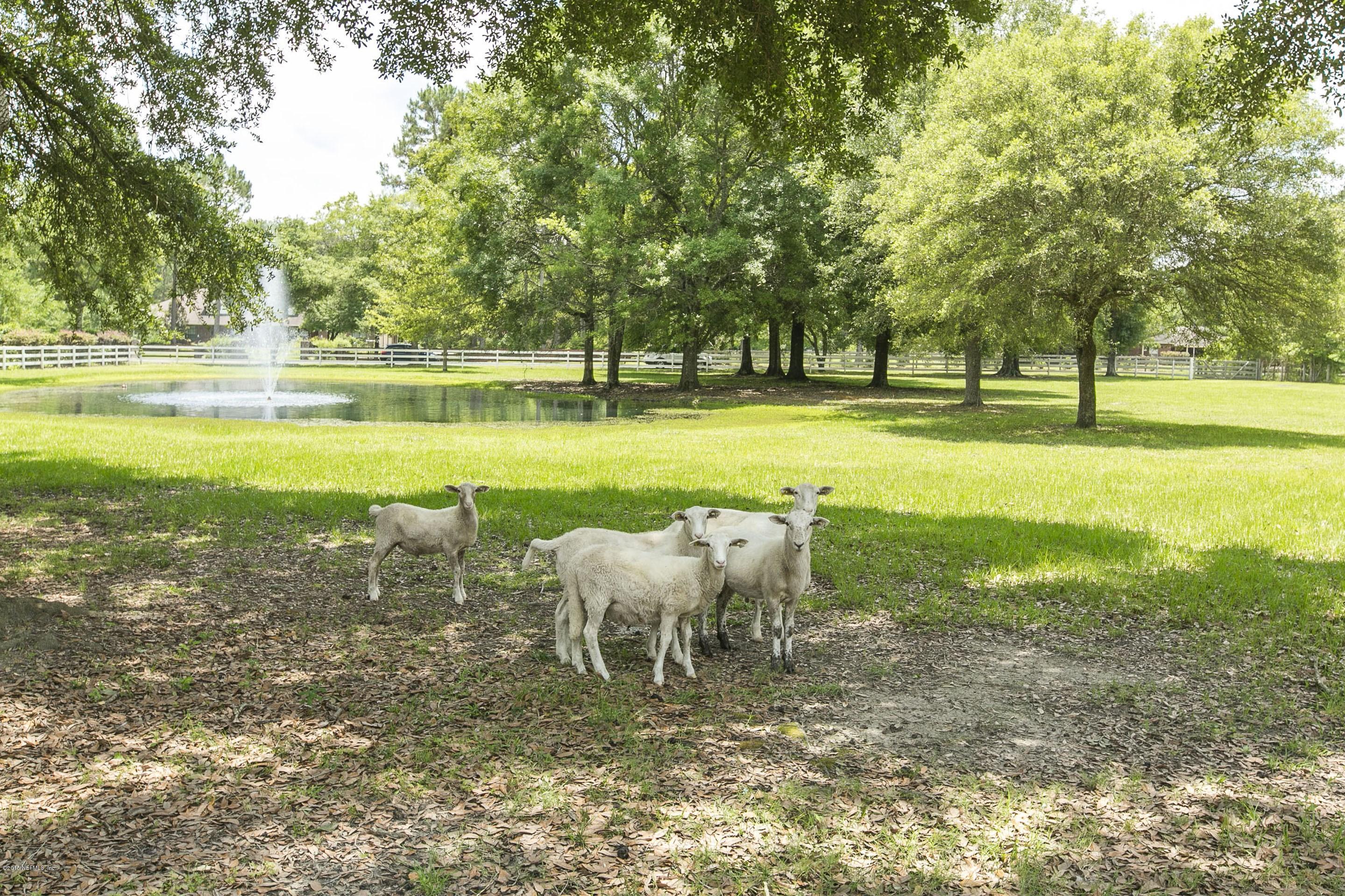 7689 Old Nursery Road Macclenny, FL 32063 - Photo 32 of 37 West Pasture