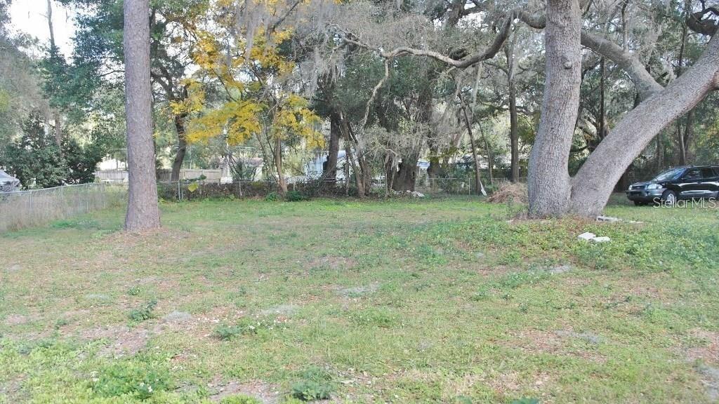 141 Sunnytown Road Casselberry, FL 32707 - Photo 15 of 18 a view of a tree in a yard